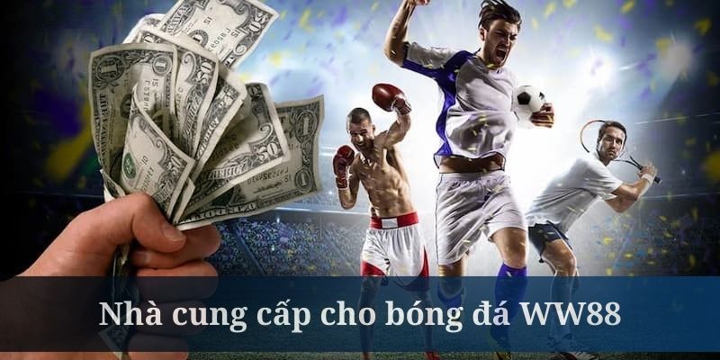 CMD368 là đơn vị cung cấp sản phẩm cho bóng đá WW88