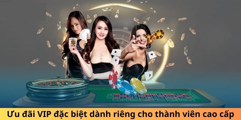 Ưu đãi VIP đặc biệt dành riêng cho thành viên cao cấp